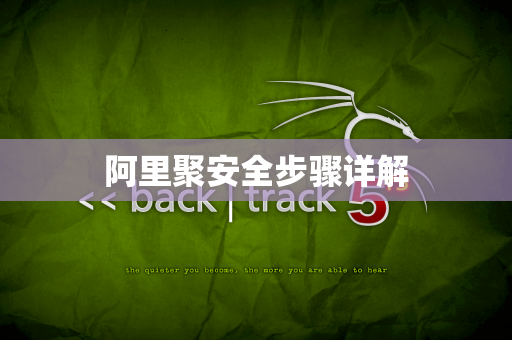 阿里聚安全步骤详解