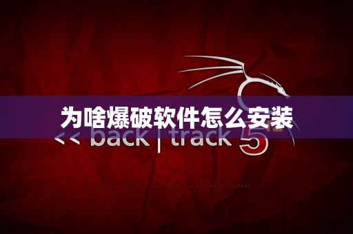 为啥爆破软件怎么安装