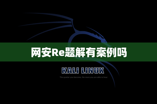 网安Re题解有案例吗