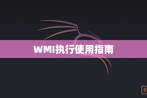 WMI执行使用指南