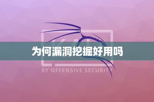 为何漏洞挖掘好用吗