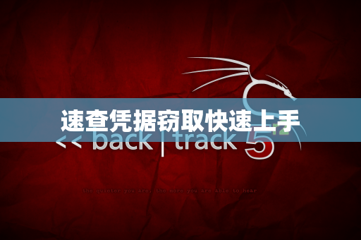 速查凭据窃取快速上手