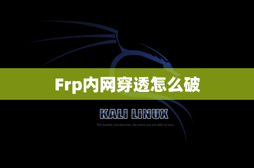 Frp内网穿透怎么破