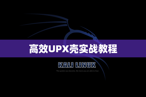 高效UPX壳实战教程
