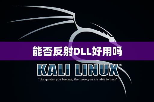 能否反射DLL好用吗