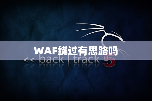 WAF绕过有思路吗