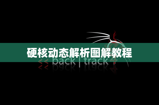 硬核动态解析图解教程