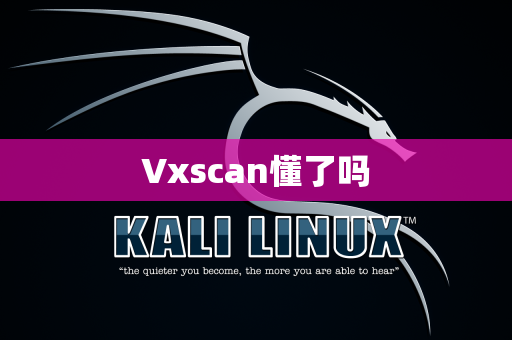 Vxscan懂了吗
