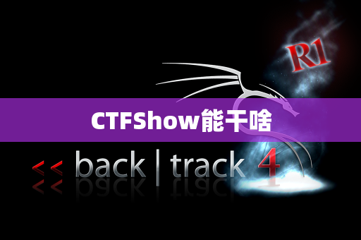 CTFShow能干啥
