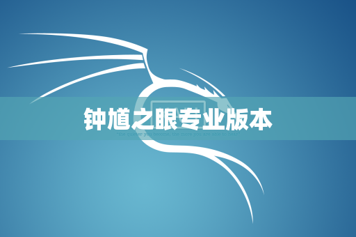 钟馗之眼专业版本