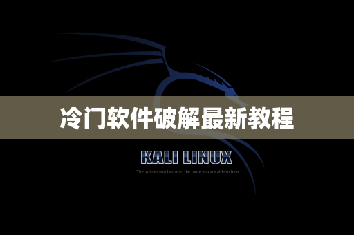 冷门软件破解最新教程