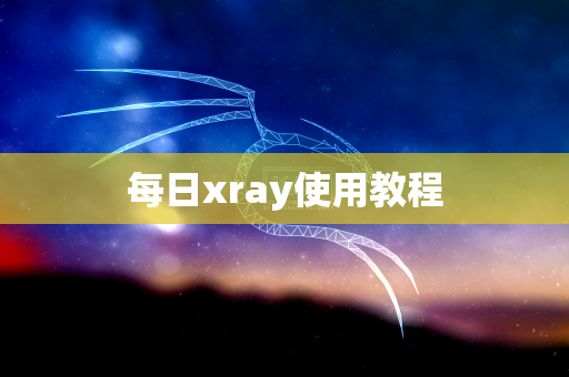 每日xray使用教程