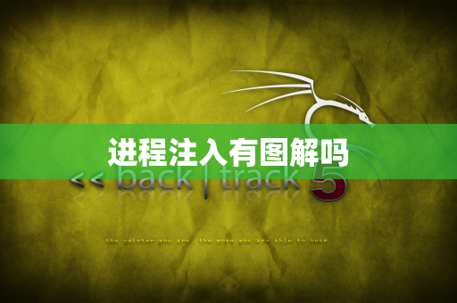 进程注入有图解吗