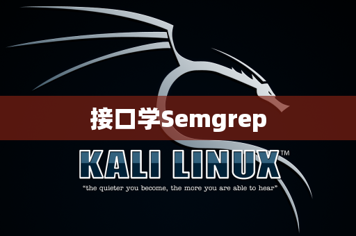 接口学Semgrep