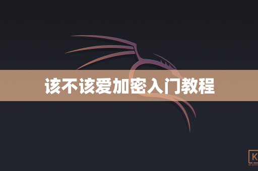 该不该爱加密入门教程