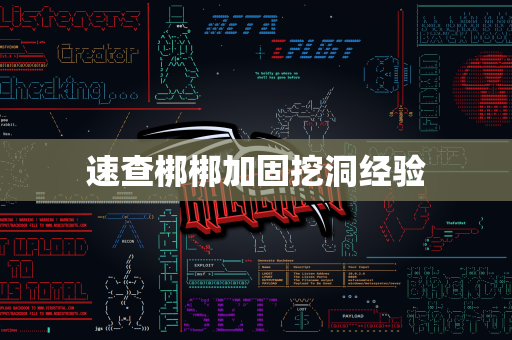 速查梆梆加固挖洞经验