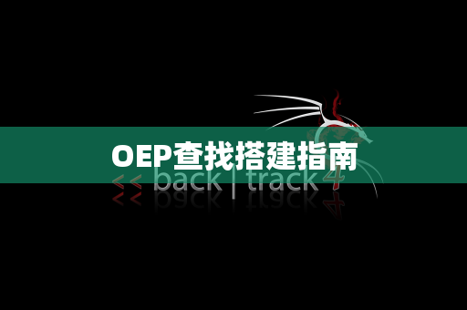 OEP查找搭建指南