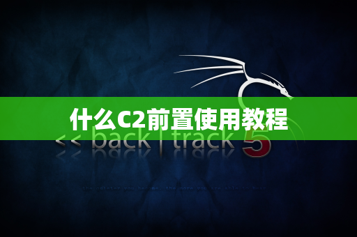 什么C2前置使用教程