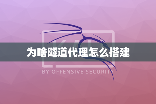 为啥隧道代理怎么搭建