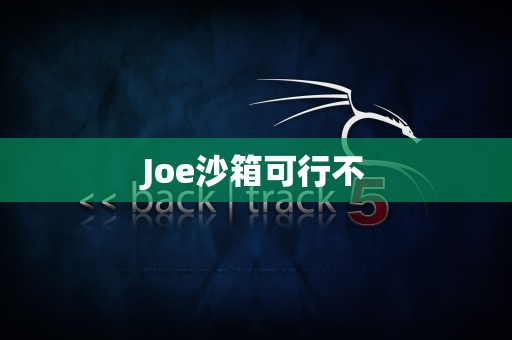 Joe沙箱可行不