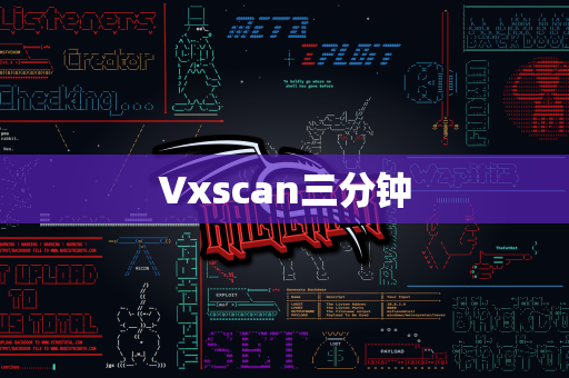 Vxscan三分钟