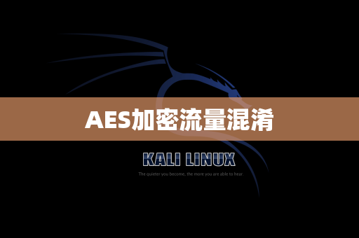 AES加密流量混淆