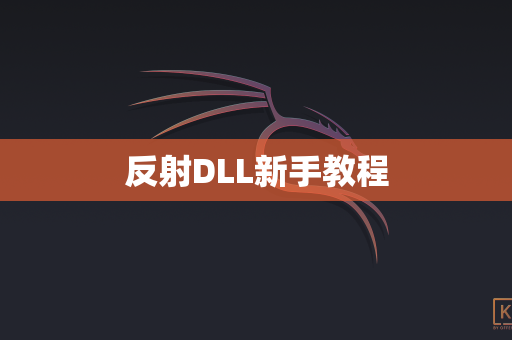 反射DLL新手教程