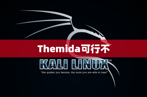 Themida可行不