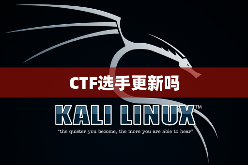 CTF选手更新吗