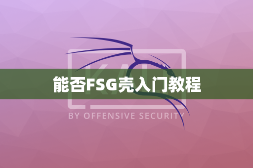 能否FSG壳入门教程