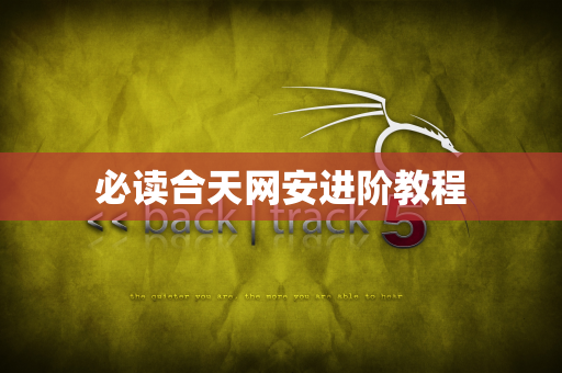 必读合天网安进阶教程