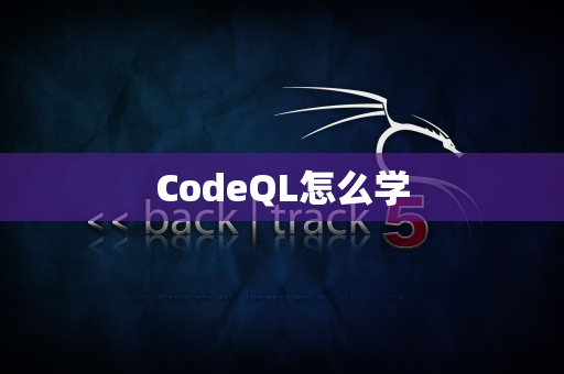 CodeQL怎么学