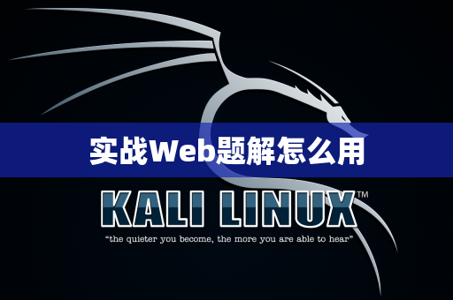 实战Web题解怎么用