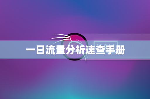 一日流量分析速查手册