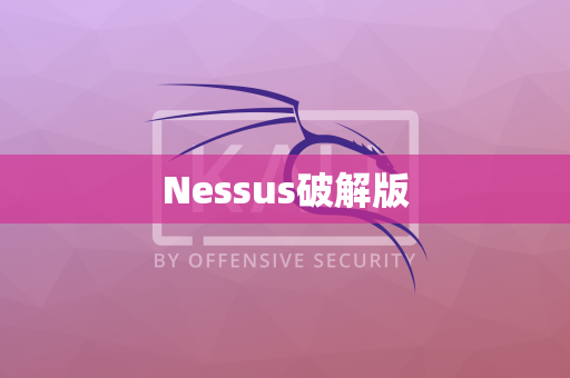 Nessus破解版