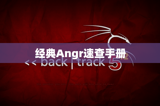 经典Angr速查手册