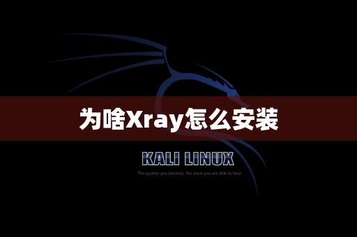 为啥Xray怎么安装