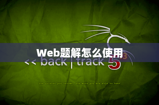 Web题解怎么使用