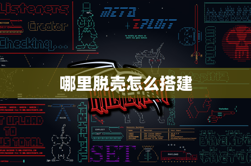 哪里脱壳怎么搭建
