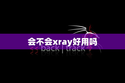 会不会xray好用吗