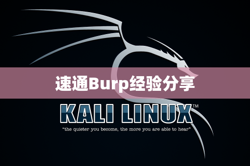 速通Burp经验分享