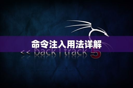 命令注入用法详解