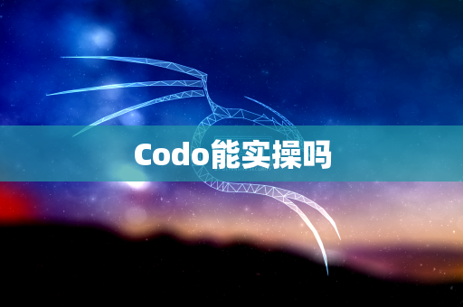 Codo能实操吗