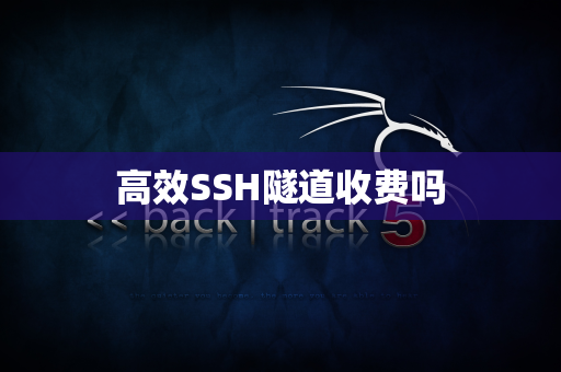 高效SSH隧道收费吗