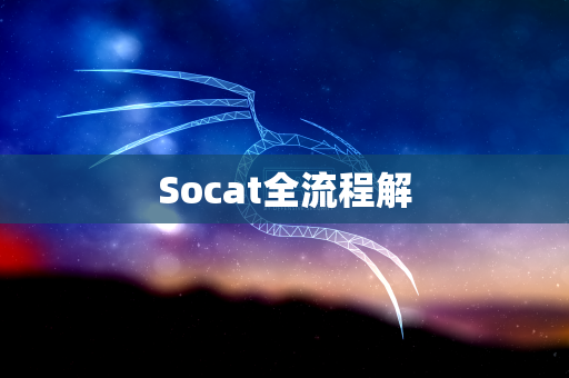 Socat全流程解
