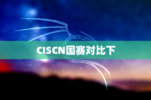 CISCN国赛对比下