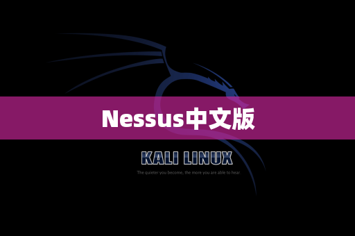 Nessus中文版