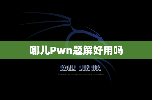 哪儿Pwn题解好用吗