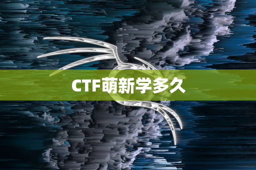 CTF萌新学多久