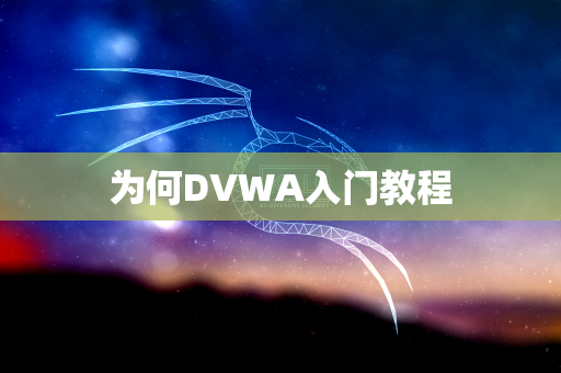 为何DVWA入门教程